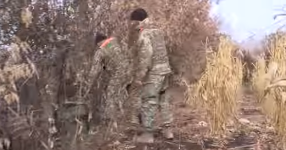 Труп дуже сильно пошкоджений дикими тваринами.