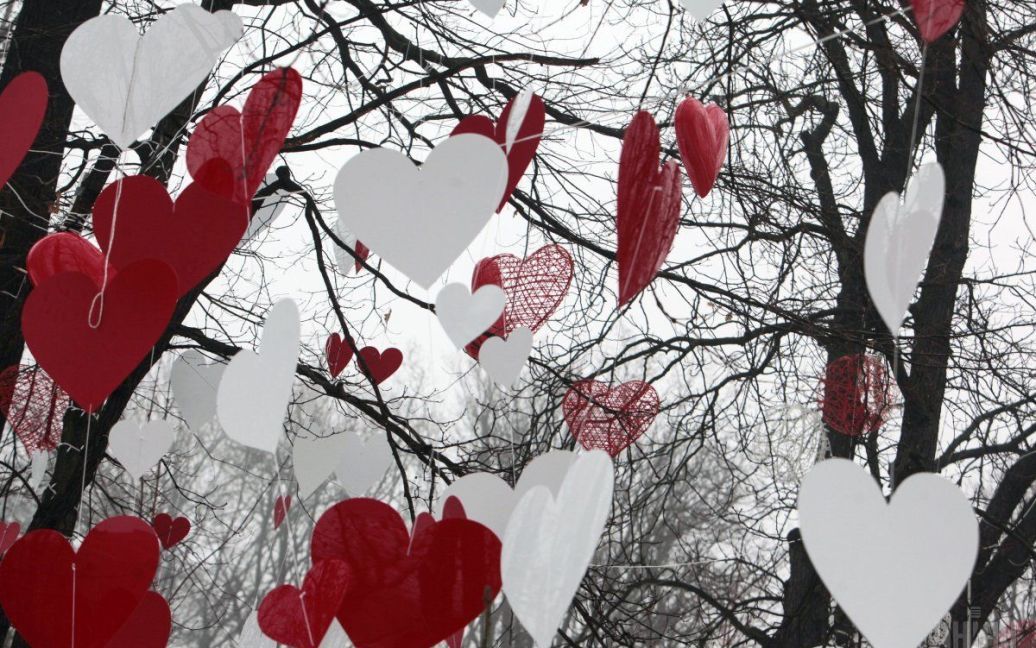 Инсталляция ко Дню Святого Валентина в парке Шевченко в Киеве. / © УНИАН
