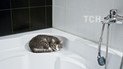 В пяти районах Киева отключат водоснабжение