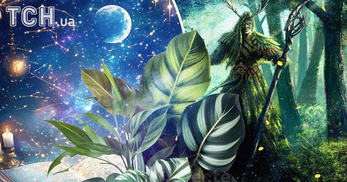 Рослинний гороскоп друїдів