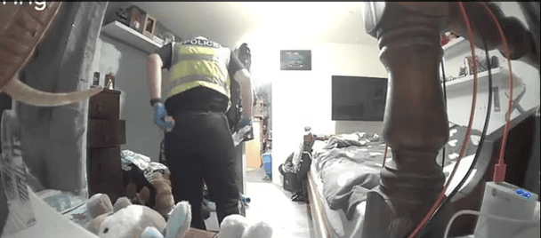 Момент злочину потрапив на відео / © Daily Mail