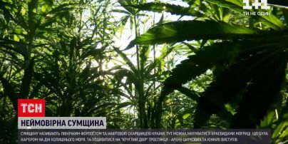 "30 лет Независимости" | Сумы: глуховские ученые, растительный код и летописи монахов