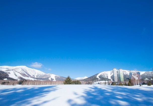  / © snowtomamu.jp