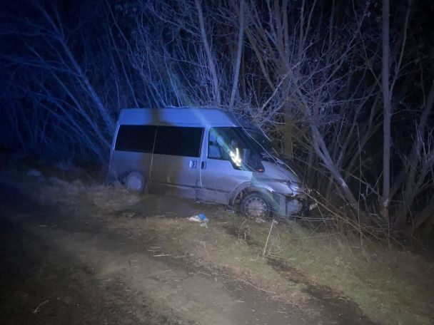 Пьяный водитель с двумя детьми в салоне съехал в кювет / ©