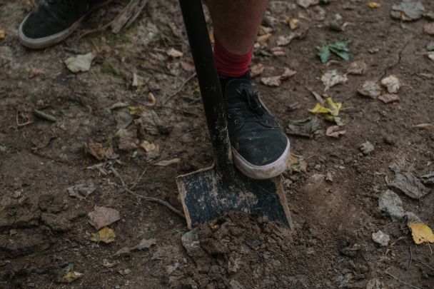 Две таблетки на ведро воды – чудодейственный раствор от всех болезней и вредителей огорода