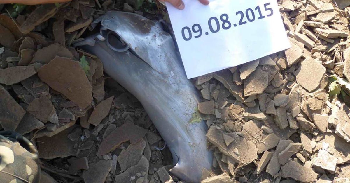 Эксперты показали снаряды от вражеских "Градов" / © Facebook/пресс-центр штаба АТО