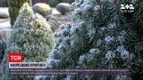 Новости Украины: синоптики прогнозируют заморозки до -5