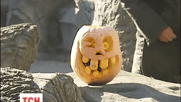 У столичному зоопарку готуються до Геловіну