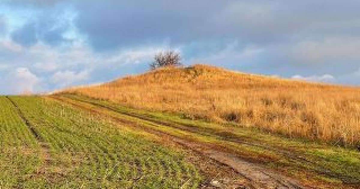 Розкопали і засіяли кургани: на Дніпропетровщині під суд відправили трьох місцевих агрономів