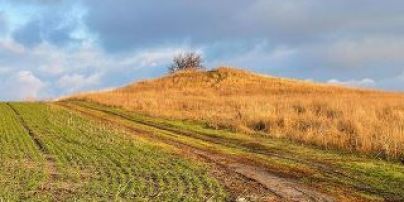 Розкопали і засіяли кургани: на Дніпропетровщині під суд відправили трьох місцевих агрономів