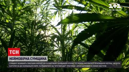"30 років Незалежності" | Суми: глухівські науковці, рослинний код та літописи монахів