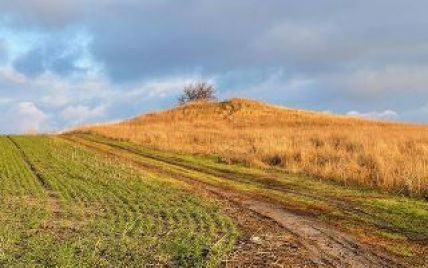 Розкопали і засіяли кургани: на Дніпропетровщині під суд відправили трьох місцевих агрономів