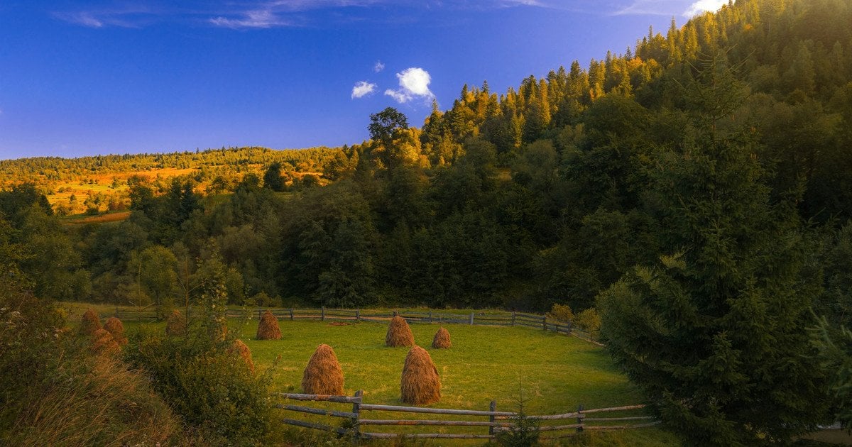 Лето в сентябре: синоптики удивили прогнозом погоды