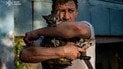 Котик испуганный, но живой