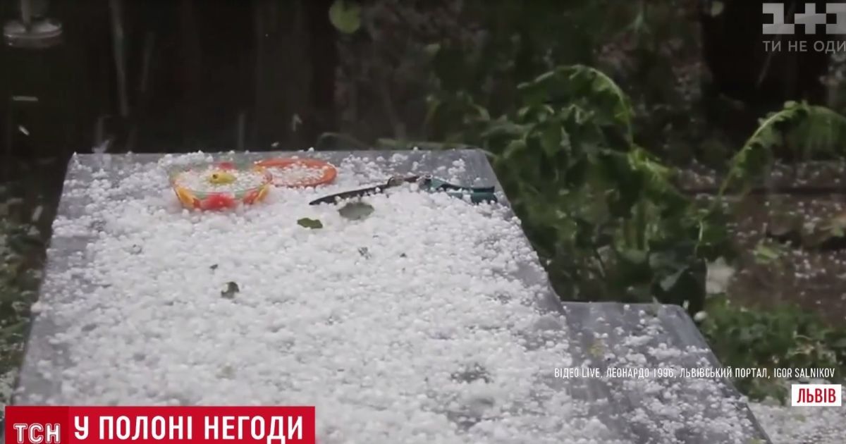 Зимние пейзажи и убитые птицы: Львов накрыл мощный ливень с градом