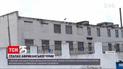 В Житомире зафиксирована вспышка африканской чумы свиней | Новости Украины
