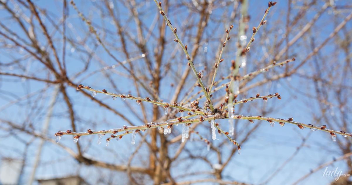 День зачистки "хвостів" і початку нових справ: гороскоп на 17 лютого