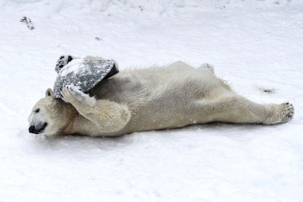  / © Associated Press