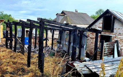 У Київській області ревнивець спалив сарай із тонною сіна (фото)