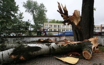 Раненые люди и поломанные деревья: Польшу атаковали разрушительные ураганы