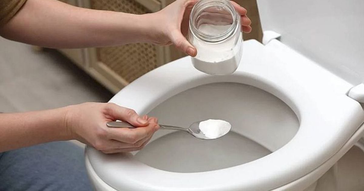 How to clean a toilet from rust at home – Miscellaneous – tsn.ua