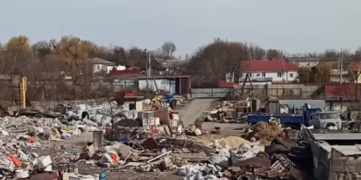 Бігають свині та лежать трупи тварин: під Києвом виявили сміттєзвалище площею один гектар (відео)