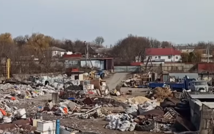 Бігають свині та лежать трупи тварин: під Києвом виявили сміттєзвалище площею один гектар (відео)