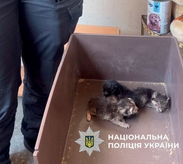  / © Полиция Киева