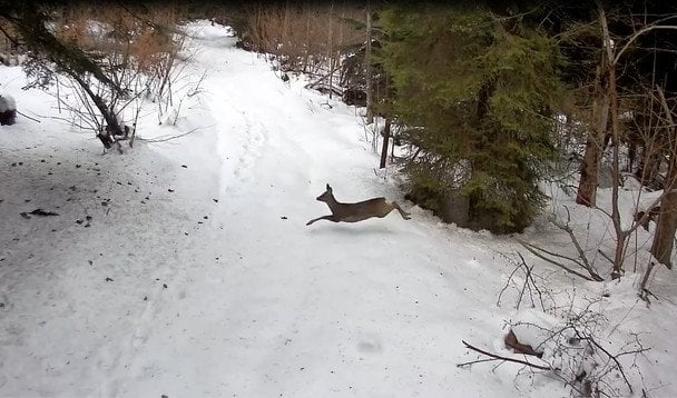  / © скрін з відео