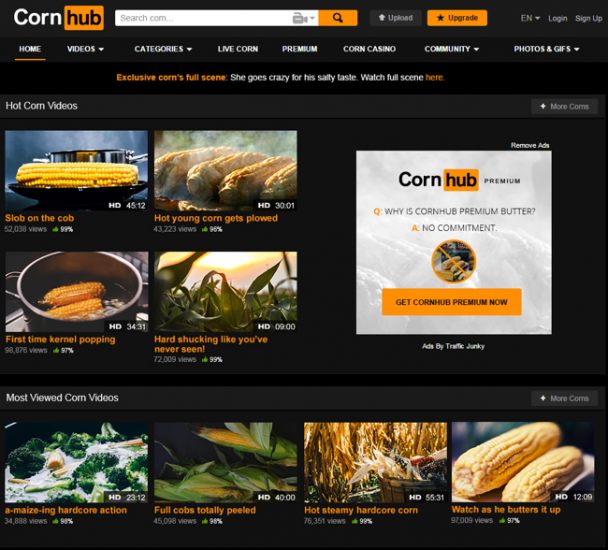  / © Pornhub