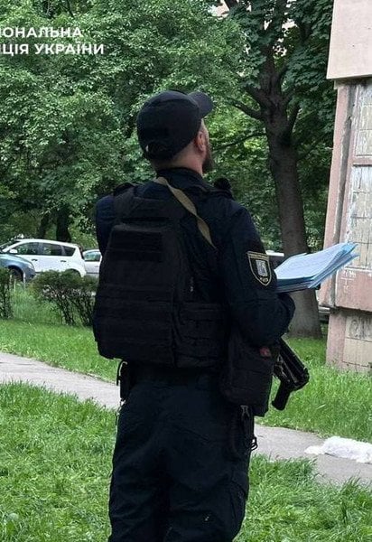 Песика породи бішон викинули з вікна у Києві — зоозахисники шокували подробицями