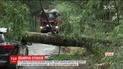 Потужний шторм у Польщі: дерево вбило заступника мера міста Воломін