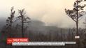 Дим із охоплених полум'ям лісів Сибіру дістався Монголії