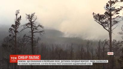 Дим із охоплених полум'ям лісів Сибіру дістався Монголії
