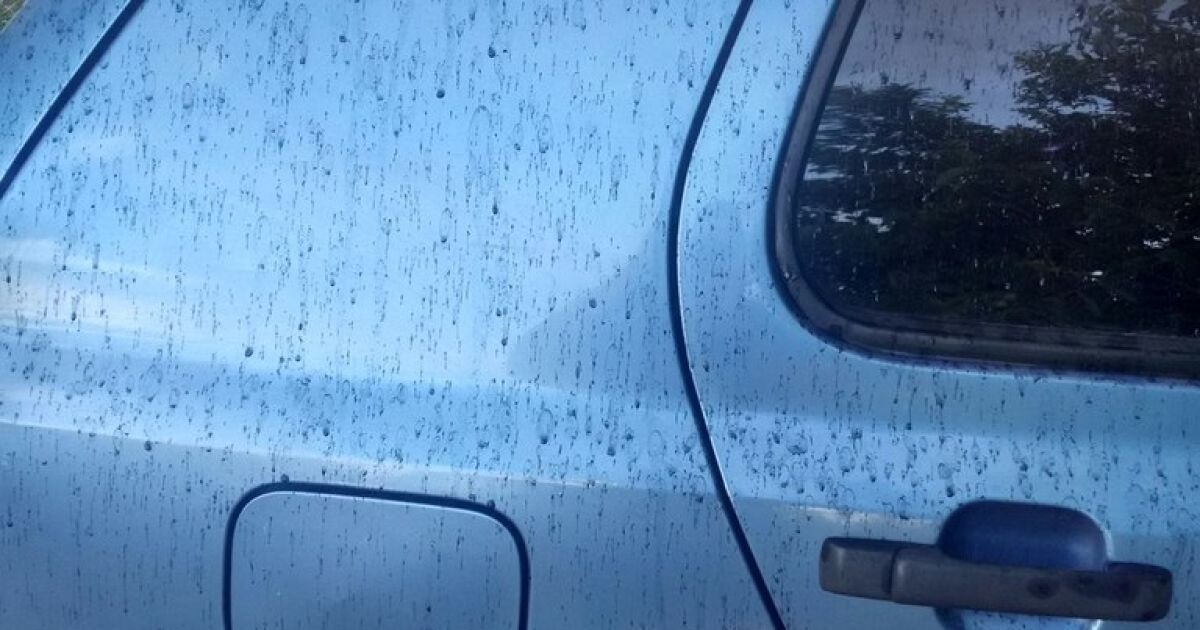 Пользователи социальных сетей начинают паниковать через "черный дождь" / © vk.com/Андрій Швец