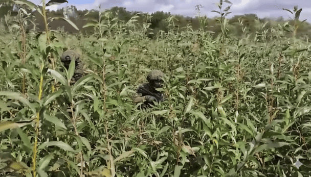 Ворог знайшов "зелений" шлях для обходу позицій ЗСУ: розвідка знищила диверсантів на півдні