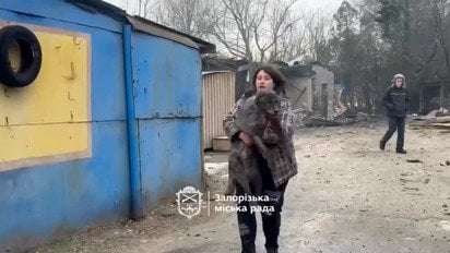 Росіяни вдарили по собачому притулку в Запоріжжі (відео 18+)