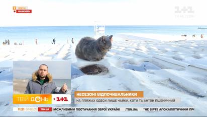 Одесса зимой: какая погода на юге Украины