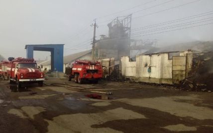 На Харківщині вогонь охопив зерносклади: згоріли тонни соняшника і пшениці