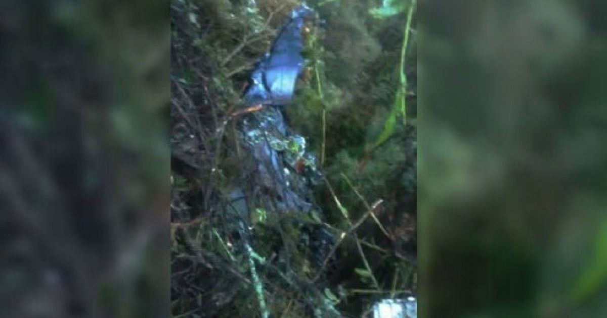 у Колумбії розбився військовий літак_3 / © twitter.com