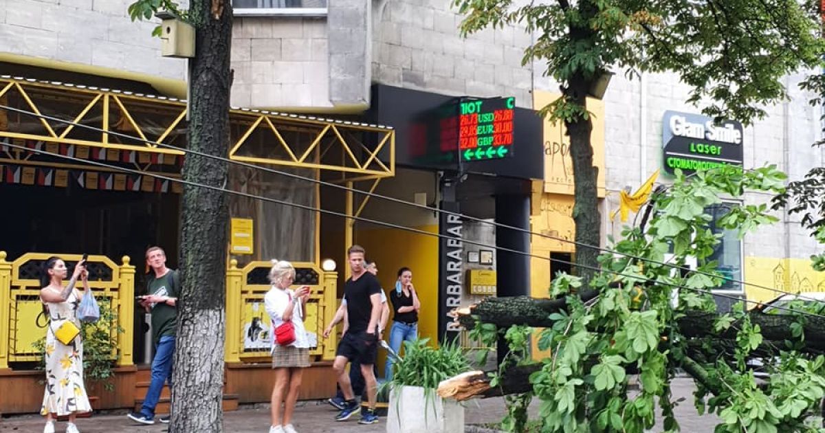 упав каштан_1 / © Борислав Береза / Facebook