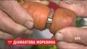 У Канаді бабуся знайшла давно втрачену обручку завдяки моркві