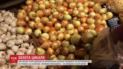 Золотой лук: цены на этот овощ бьют рекорды