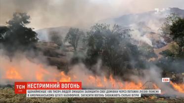 Из-за масштабных лесных пожаров в Калифорнии эвакуируют более 185 тысяч человек