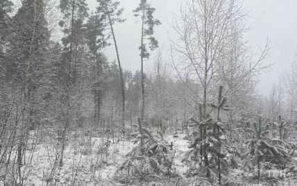 Киев и пригород замело снегом: фото, видео