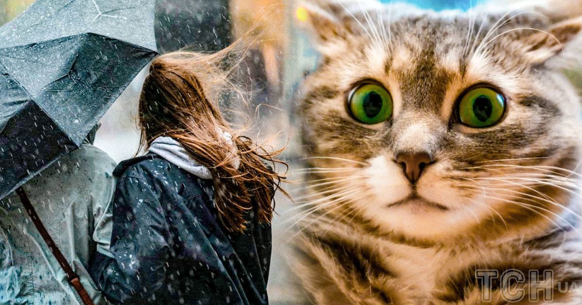 Наприкінці цього тижня на українців чекатиме зниження температури, дощі, а подекуди і мокрий сніг / Колаж ТСН.ua