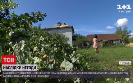 Вирвані з корінням дерева, переламані навпіл електростовпи: негода наробила лиха на Київщині