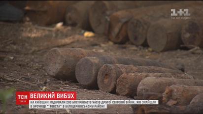 Саперы уничтожили на Киевщине почти 200 боеприпасов времен Второй мировой войны