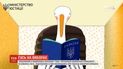 Популярный в соцсетях персонаж "Гусь" виртуально собирается голосовать на выборах