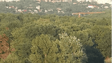 В Голосеевском районе произошел пожар / © ТСН.ua